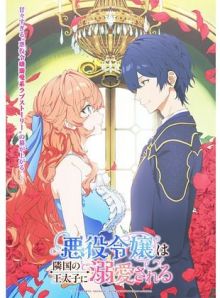 The Villainess Is Adored By The Prince Of The Neighbor Kingdom wiflix